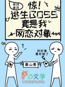 九零之我又穿回来了