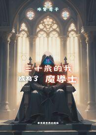 三十岁成为魔法师全集