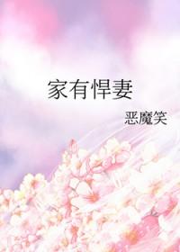 家有悍妻怎么破笔趣阁免费阅读无弹窗
