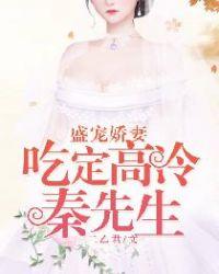 盛宠娇妻:吃定高冷秦先生! 盛宠娇妻:吃定高冷秦先生!