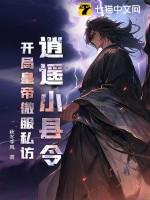 逍遥小县令,开局皇帝微服私访 逍遥小县令,开局皇帝微服私访