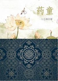 药童 药童