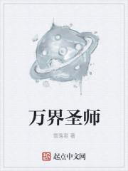 万界圣师 万界圣师