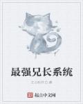 最强兄长系统 最强兄长系统