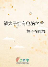 清太子拥有电脑之后 清太子拥有电脑之后