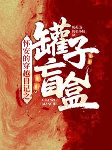 怀安的穿越日记之罐子盲盒 怀安的穿越日记之罐子盲盒