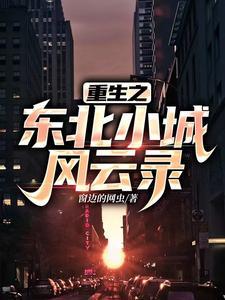 重生之东北小城风云录 重生之东北小城风云录