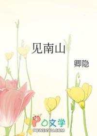 我见南山 我见南山