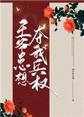 王爷总想夺我兵权 王爷总想夺我兵权
