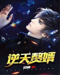 逆天赘婿 逆天赘婿